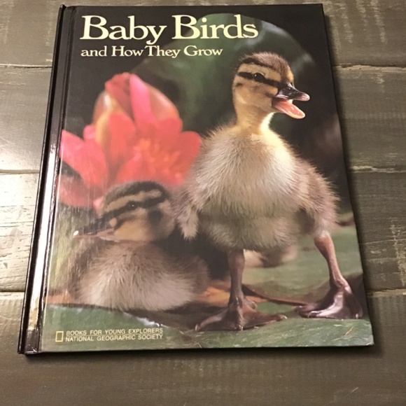 Kids National Geographic Book Bundle - Picture 2 of 5